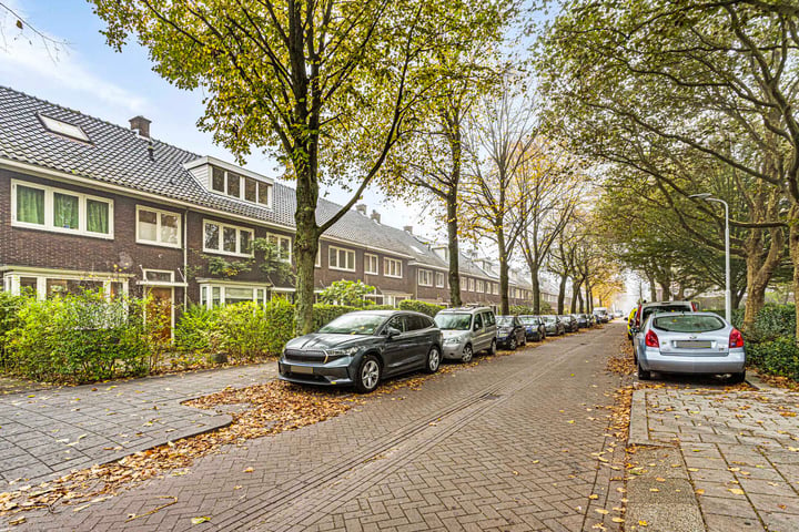 Bekijk foto 41 van Frans Halsstraat 68