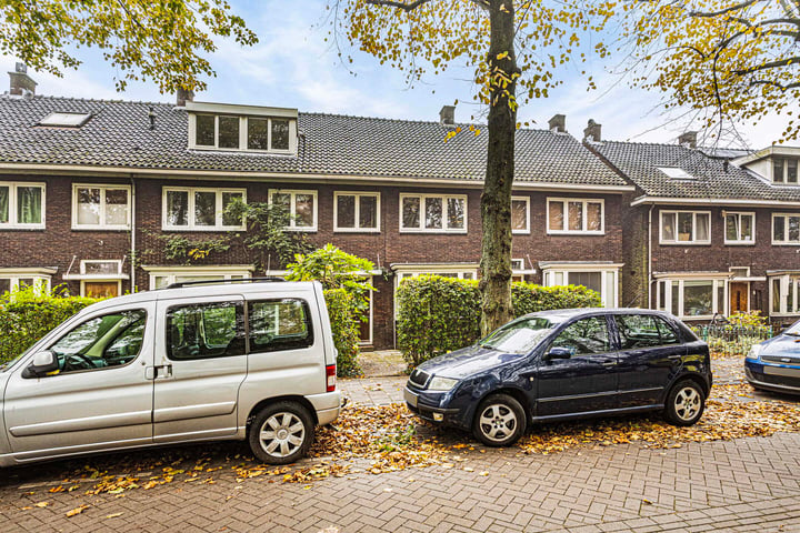 Bekijk foto 42 van Frans Halsstraat 68