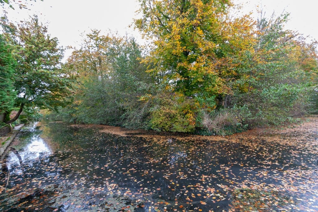 Foto 29 van Texellaan 14