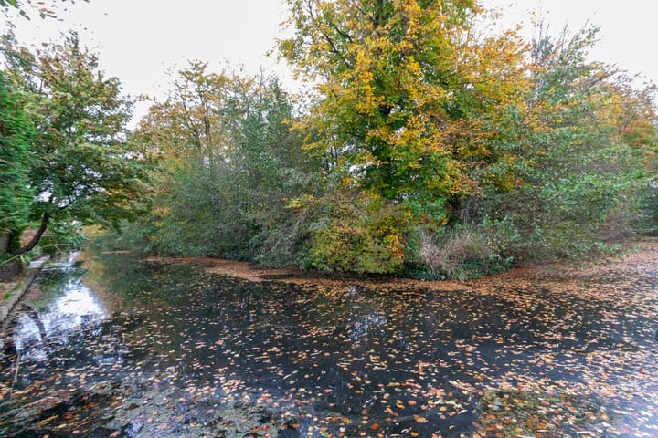 Foto 29 van Texellaan 14