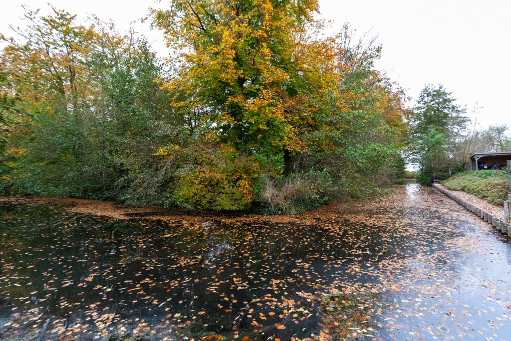 Foto 30 van Texellaan 14