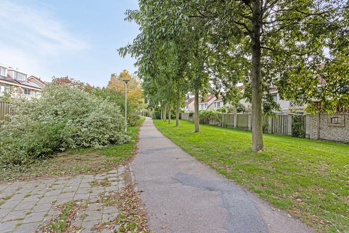 Foto 50 van Robert de Vriesstraat 48