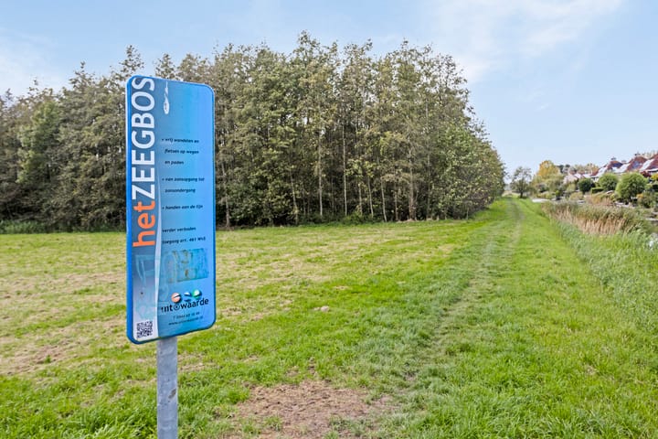 Foto 56 van Robert de Vriesstraat 48