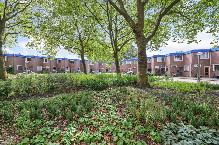 Foto 29 van Anthony Spatzierhof 19