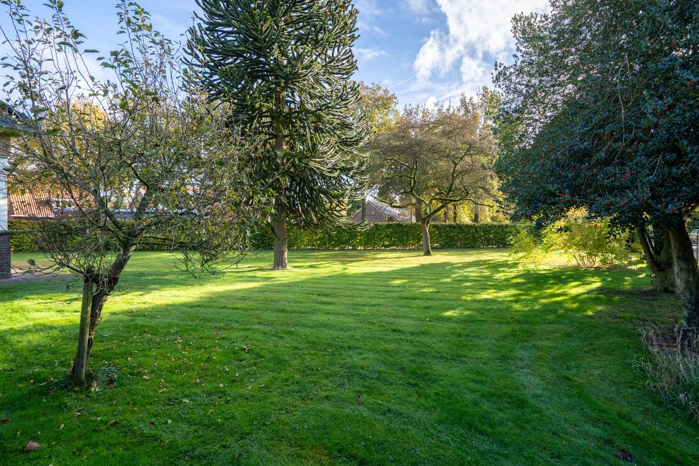 Foto 44 van Hoofdweg 185