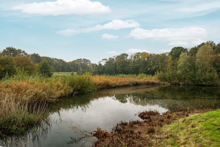 Foto 39 van Hof van Hagevoort 125