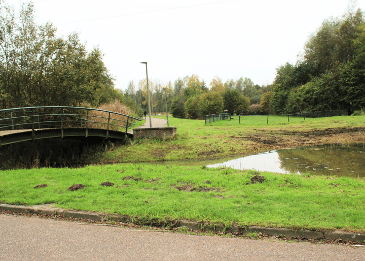 Foto 35 van Zwanebloemsingel 38