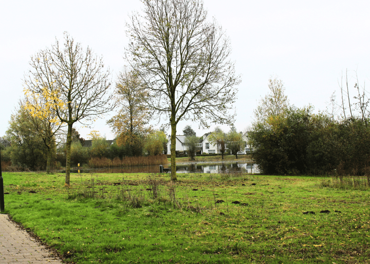 Foto 36 van Zwanebloemsingel 38