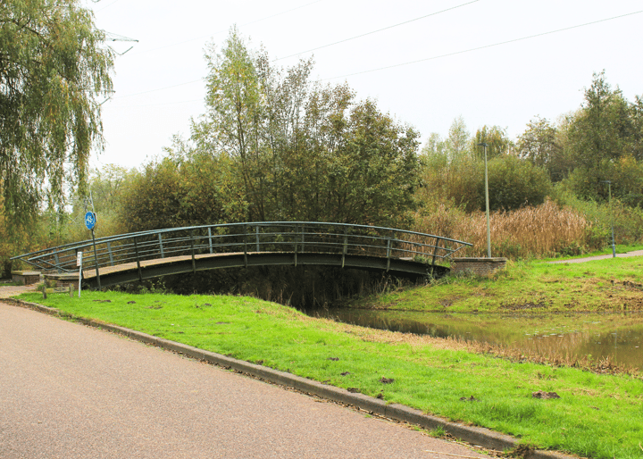 Foto 37 van Zwanebloemsingel 38