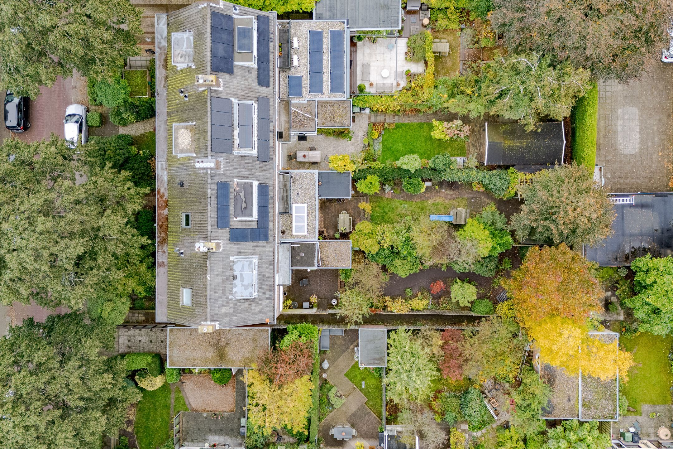 Foto 6 van Papelaan 45