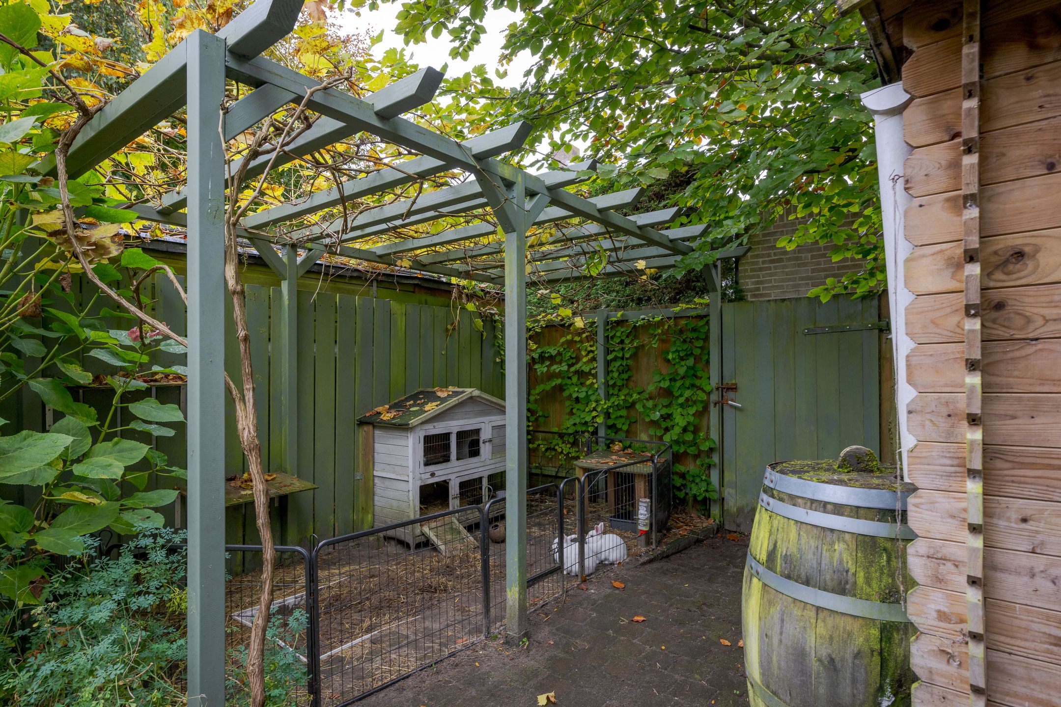 Foto 39 van Papelaan 45