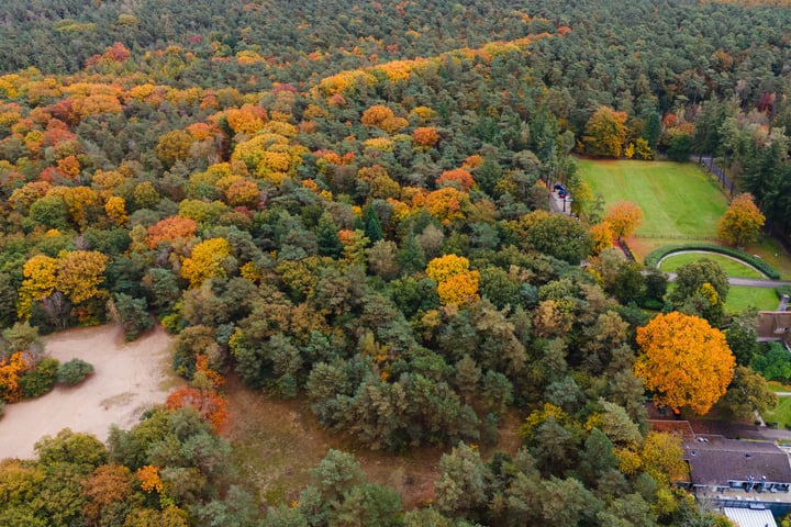 Bekijk foto 5 van Wipselbergweg