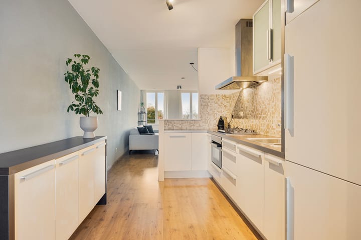 Foto 15 van Paulus Potterstraat 24