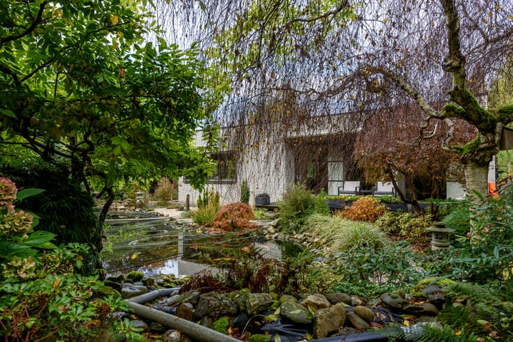 Foto 58 van Vredelaan 46