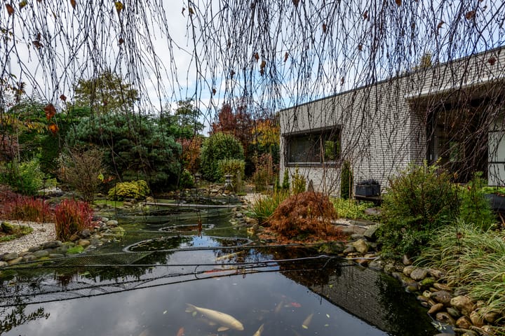 Foto 59 van Vredelaan 46