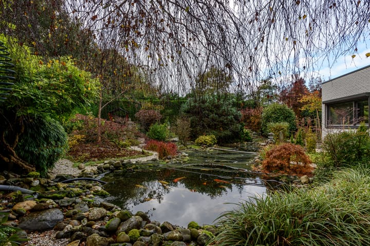 Foto 61 van Vredelaan 46