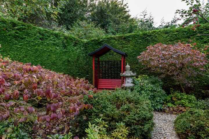 Foto 62 van Vredelaan 46