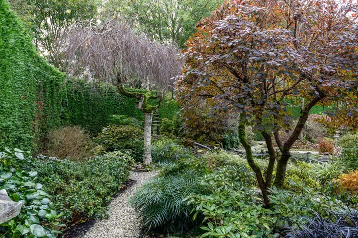 Foto 64 van Vredelaan 46