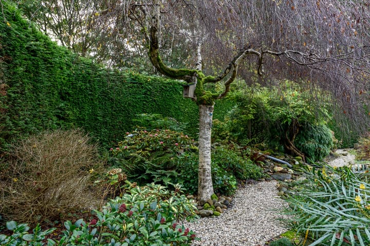 Foto 65 van Vredelaan 46