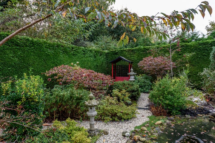 Foto 66 van Vredelaan 46