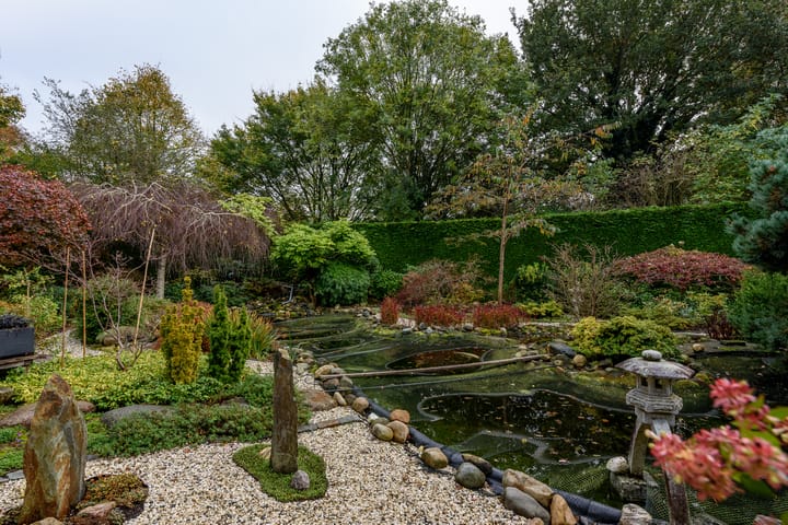 Foto 69 van Vredelaan 46