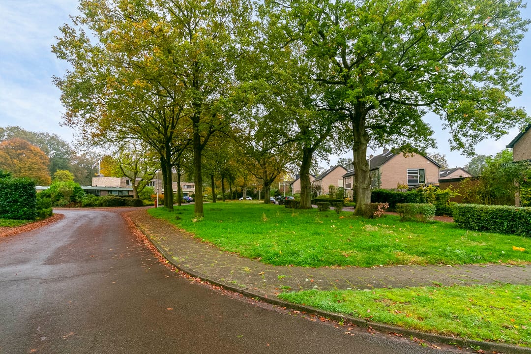 Foto 31 van Draflaan 20