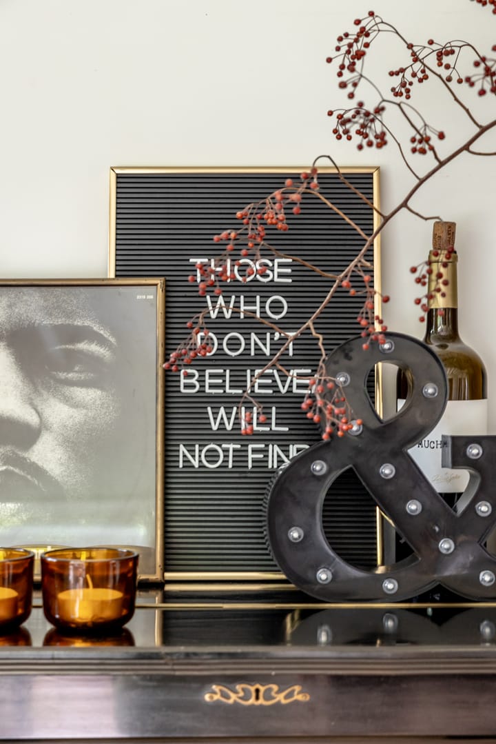 Foto 44 van Liesboslaan 295