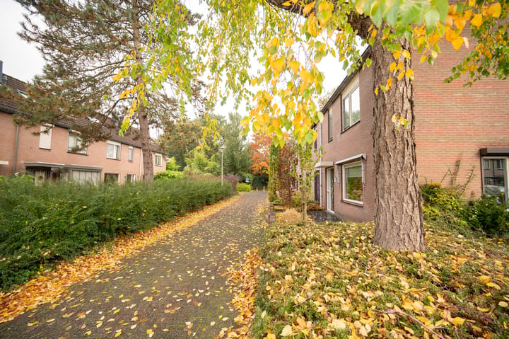 Foto 25 van Martensweg 11