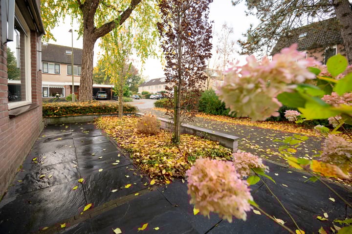 Foto 27 van Martensweg 11