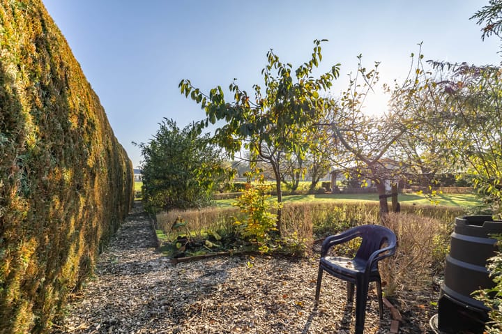 Photo 81 of Tuinbouwweg 2