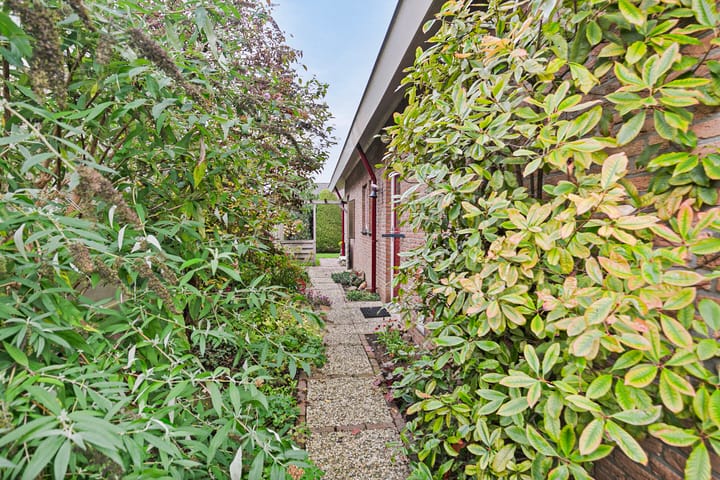 Foto 54 van Sterrenbos 9