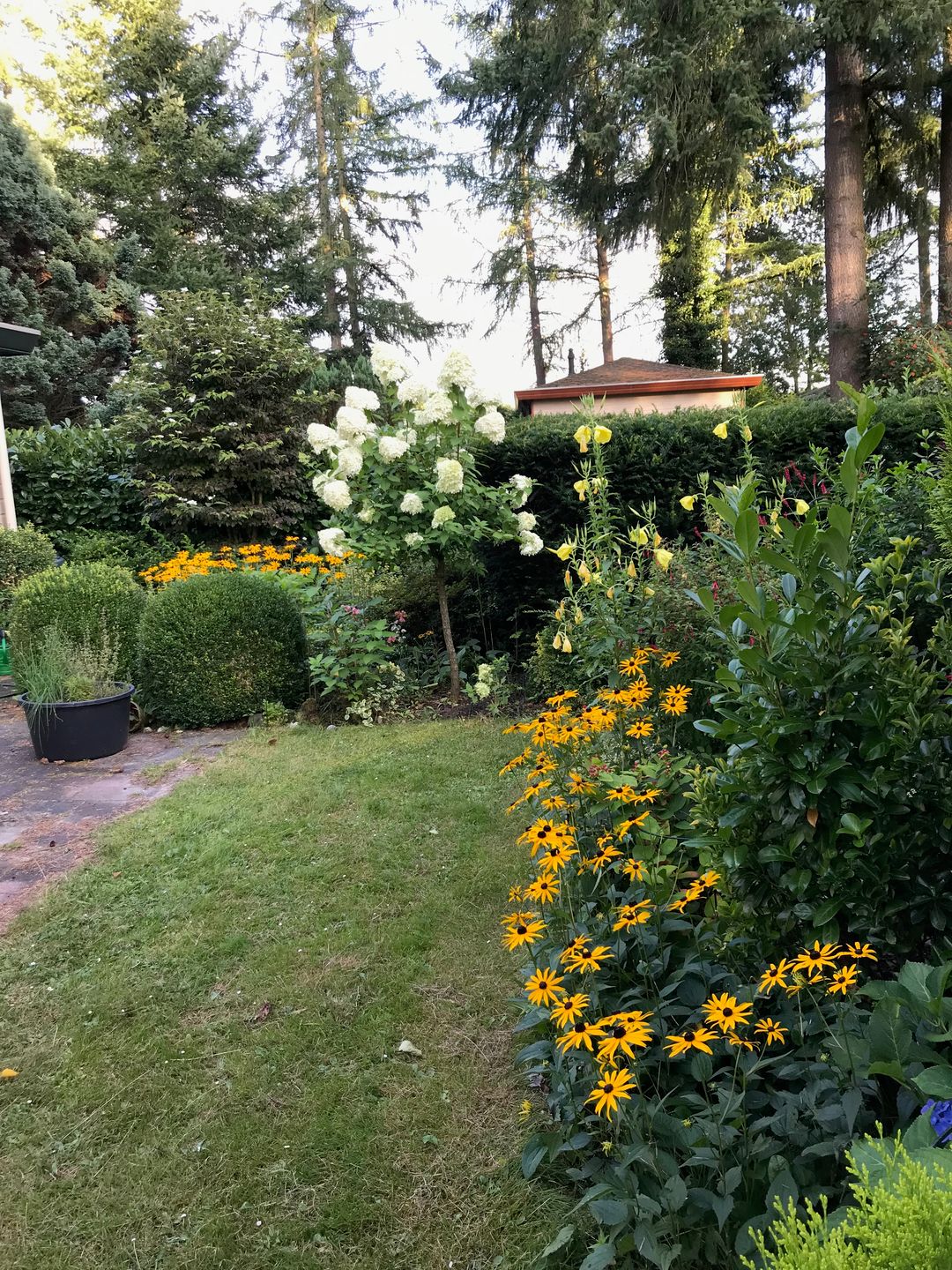 Foto 13 van Enzerinckweg 12-227