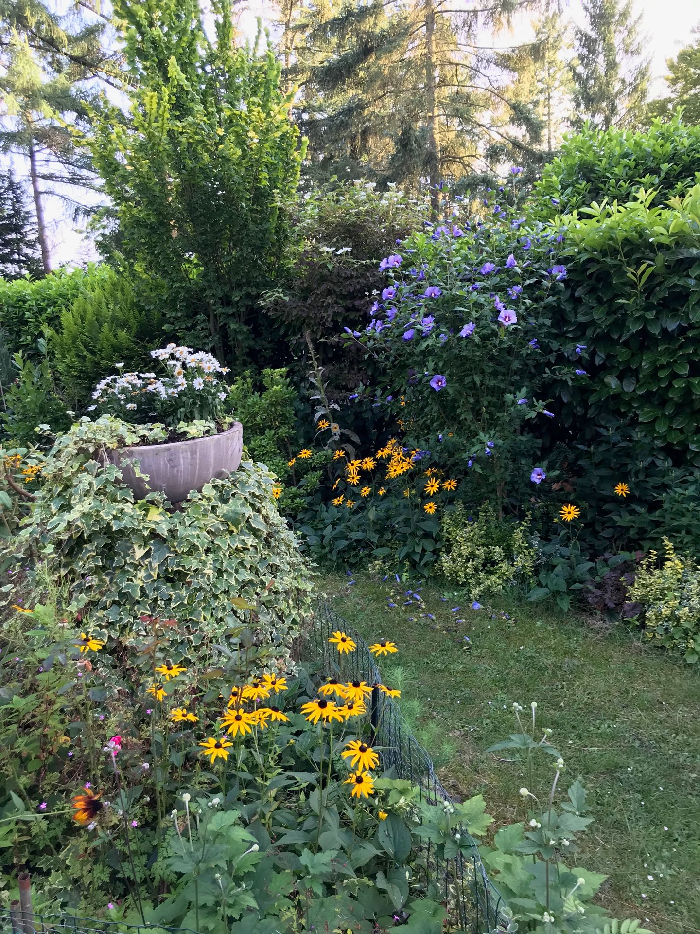 Foto 14 van Enzerinckweg 12-227