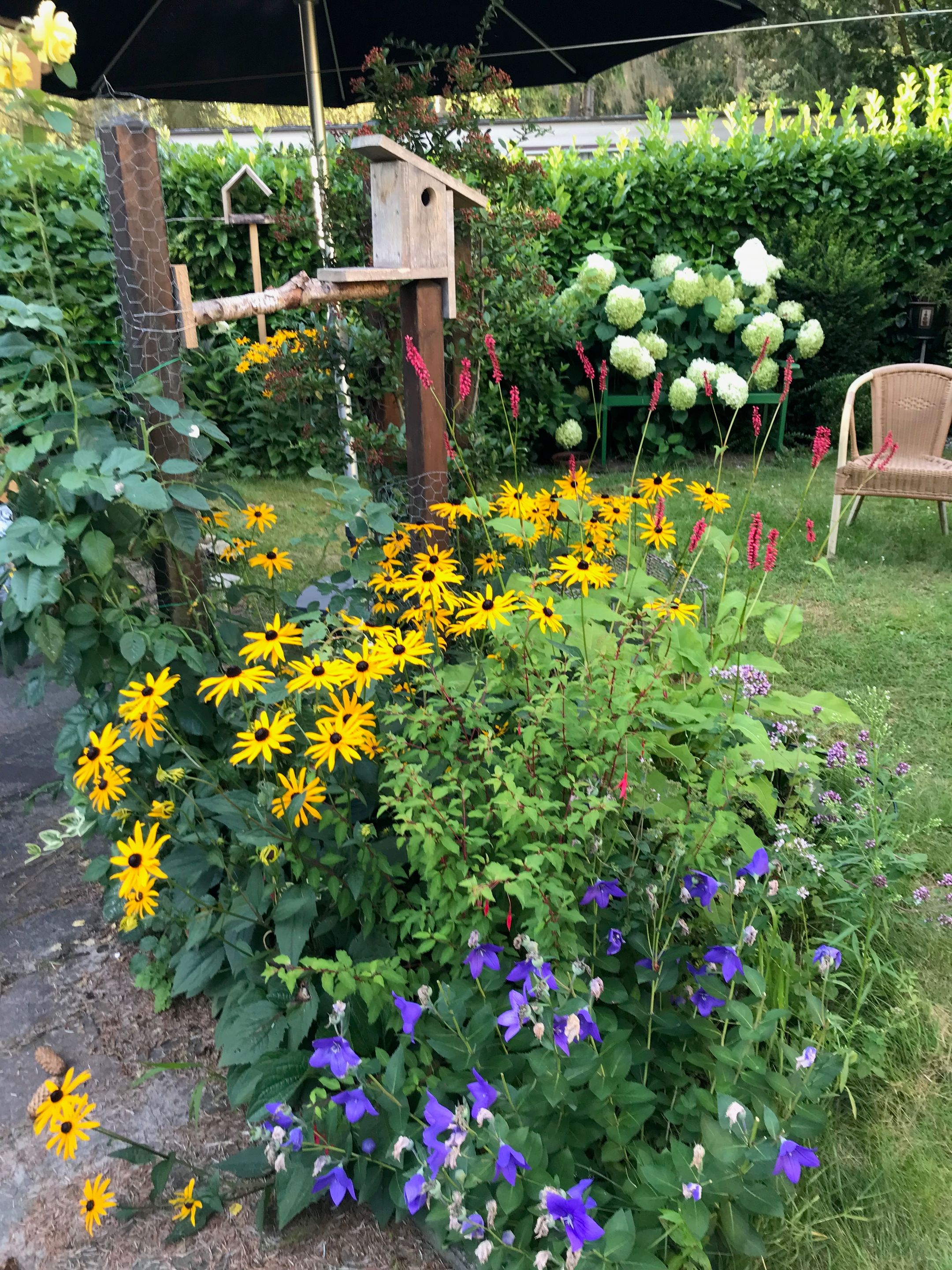 Foto 15 van Enzerinckweg 12-227