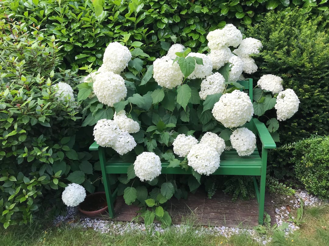 Foto 16 van Enzerinckweg 12-227