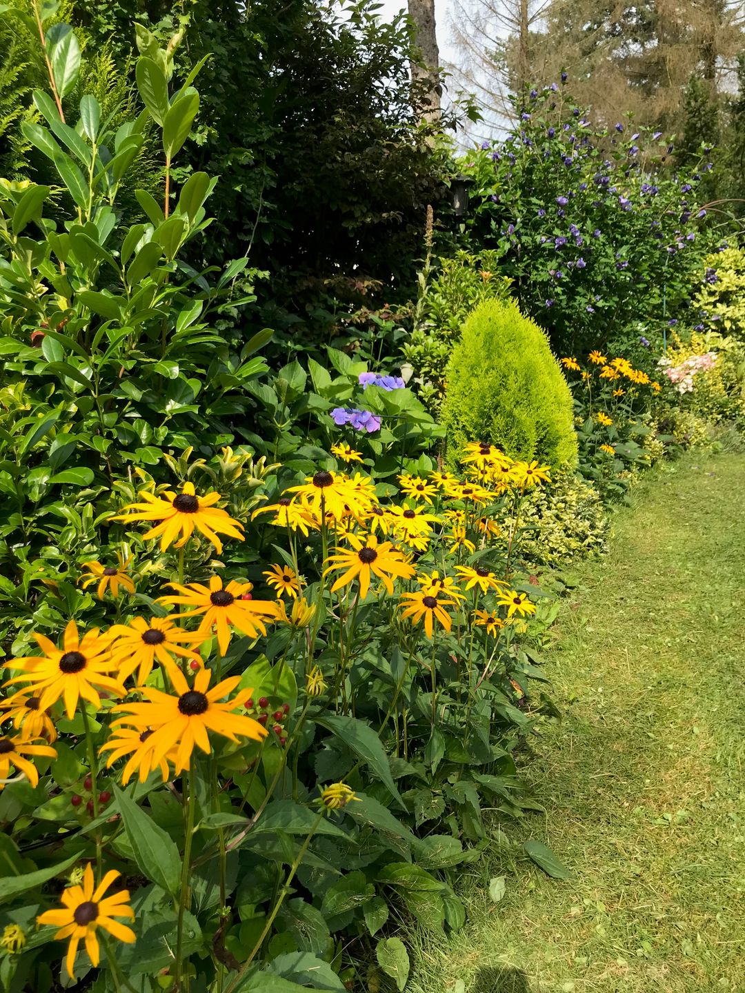 Foto 17 van Enzerinckweg 12-227