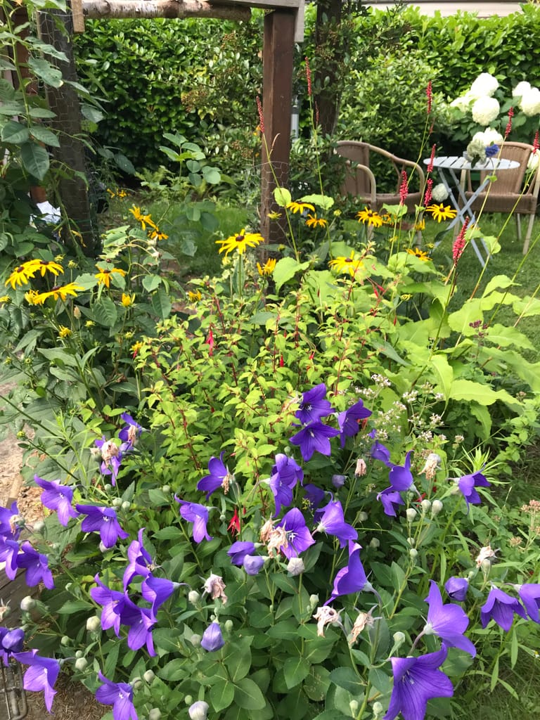 Foto 18 van Enzerinckweg 12-227