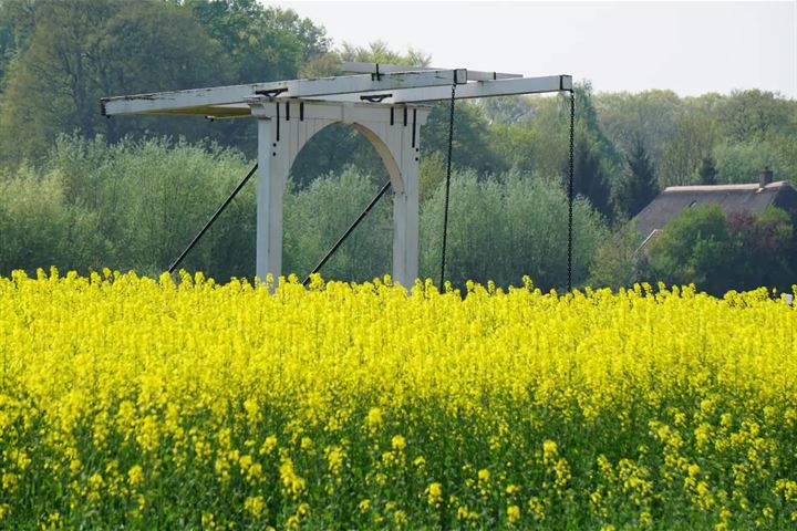 Bekijk foto 21 van Enzerinckweg 12-227