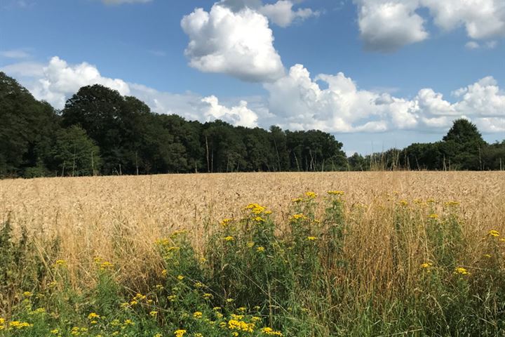 Bekijk foto 22 van Enzerinckweg 12-227