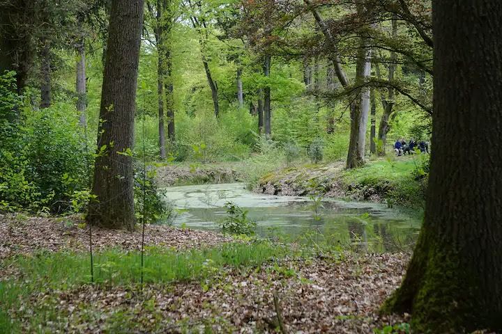 Bekijk foto 23 van Enzerinckweg 12-227