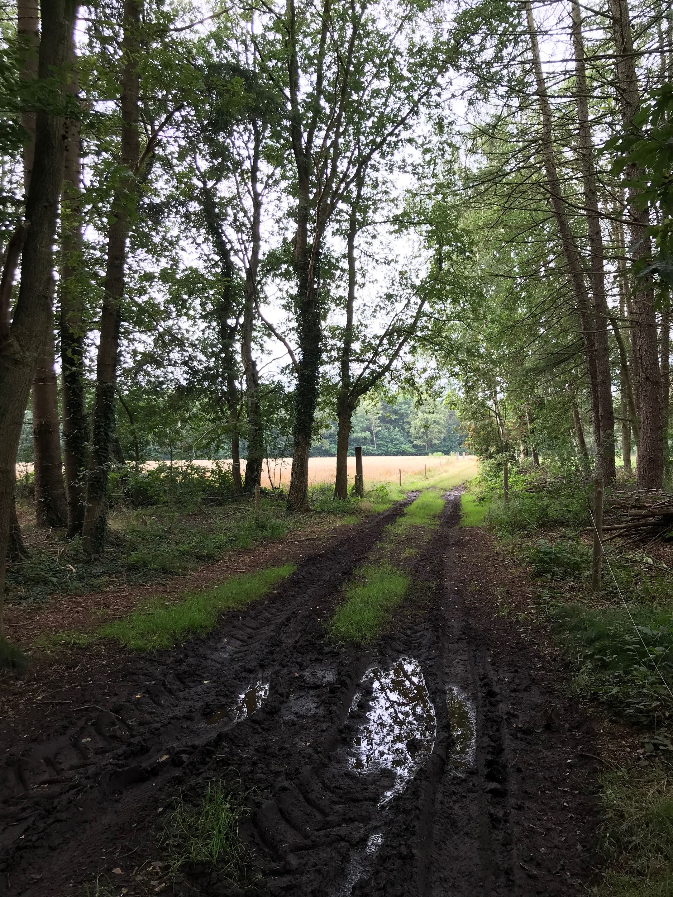 Foto 24 van Enzerinckweg 12-227