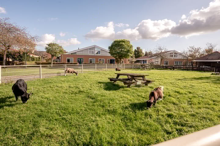 Foto 39 van Tubastraat 61