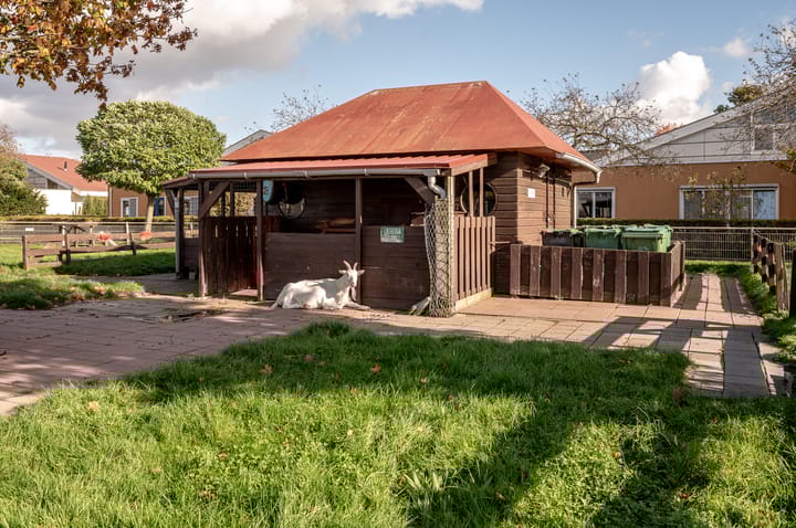 Foto 40 van Tubastraat 61