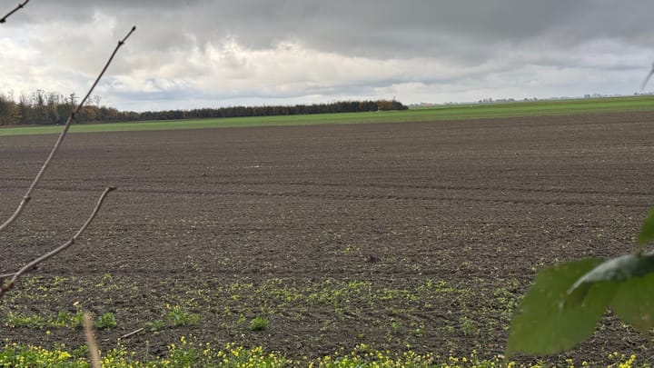 Foto 36 van G.Gernaatweg 39