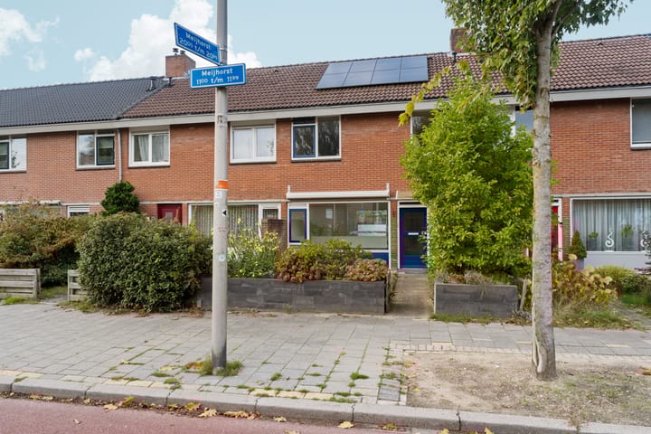 Foto 2 van Meijhorst 1116