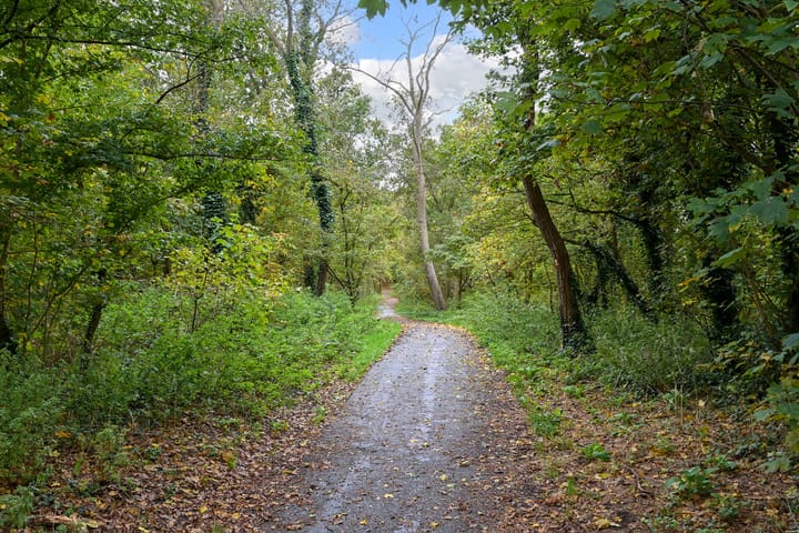 Foto 62 van Verseveldtweg 3