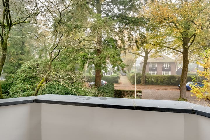 Foto 22 van Prof. Lorentzlaan 68