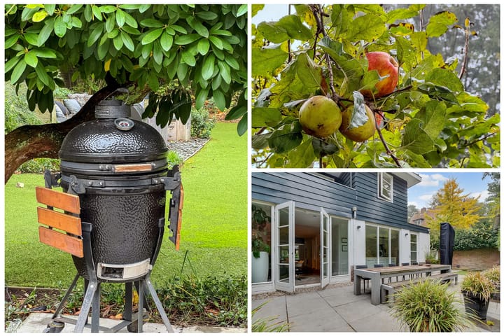 Foto 45 van Prof. Lorentzlaan 68