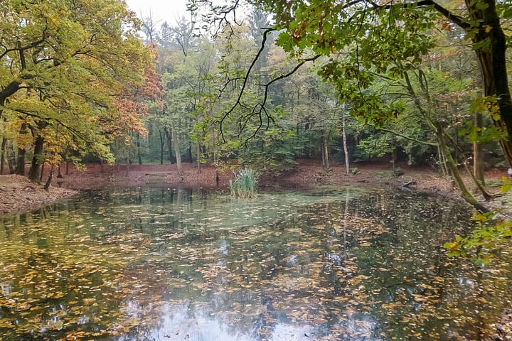 Foto 47 van Prof. Lorentzlaan 68