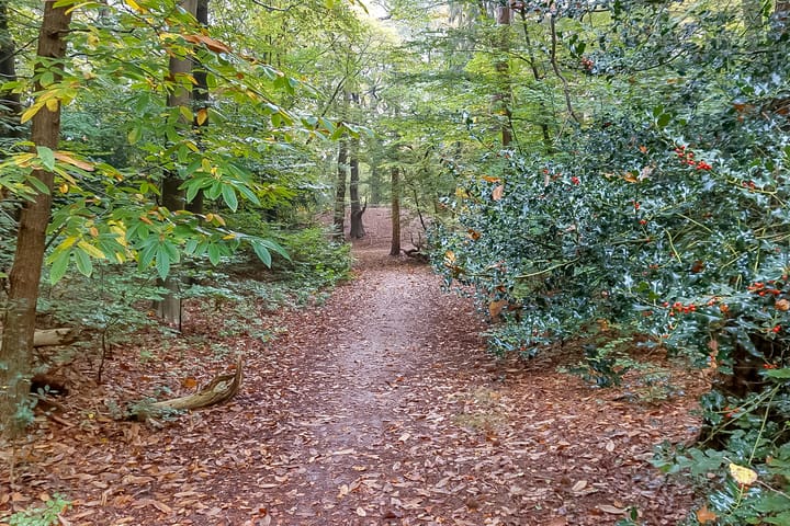 Foto 48 van Prof. Lorentzlaan 68